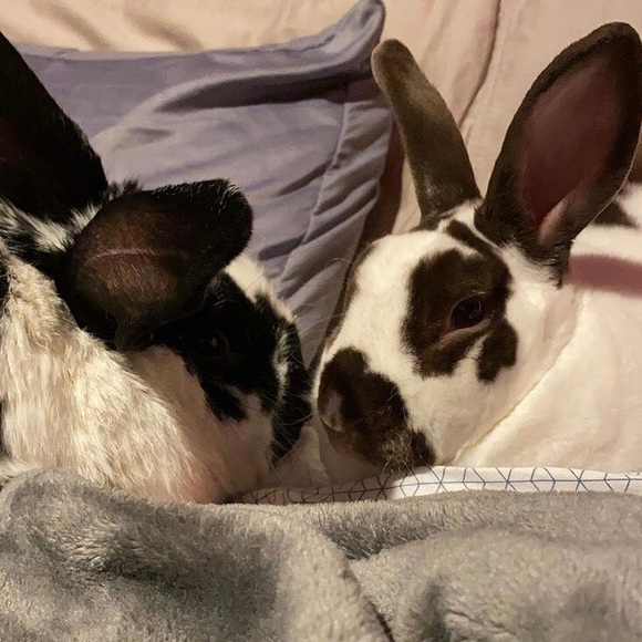 Meet your Posher, The best - Picture 1 of 1